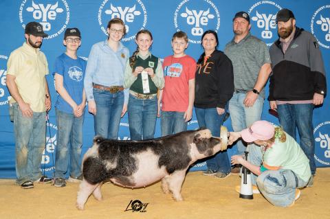 Article Image Alt Text