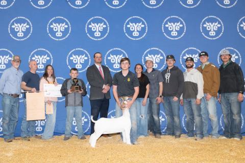 Article Image Alt Text