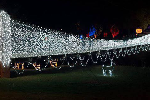 Article Image Alt Text