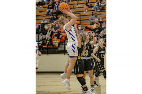 Article Image Alt Text