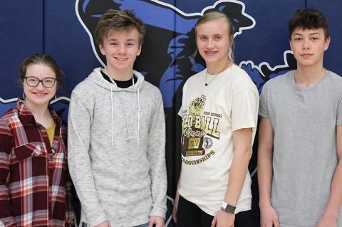 Article Image Alt Text