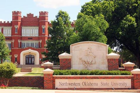 Article Image Alt Text