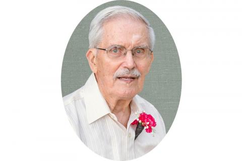 Article Image Alt Text