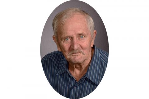 Article Image Alt Text