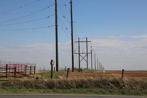 Article Image Alt Text