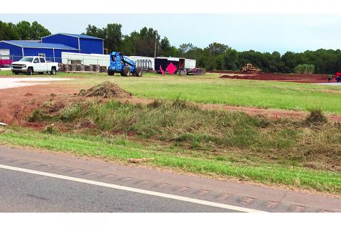 Article Image Alt Text