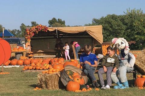 Article Image Alt Text