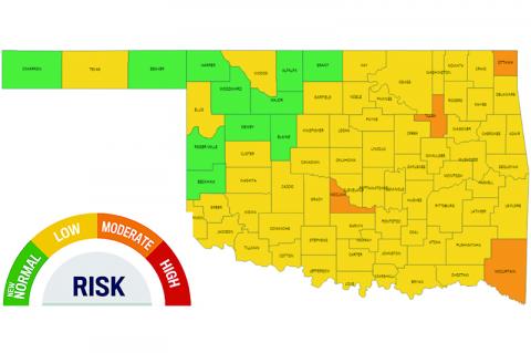 Article Image Alt Text