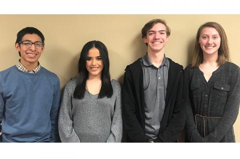 Article Image Alt Text