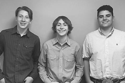 Article Image Alt Text