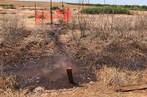 Article Image Alt Text