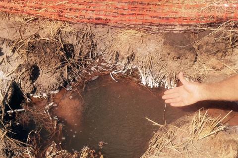 Article Image Alt Text