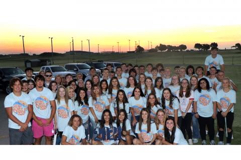 Article Image Alt Text