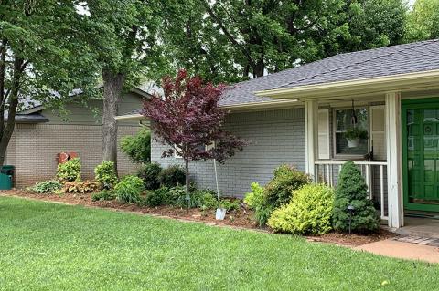 Article Image Alt Text