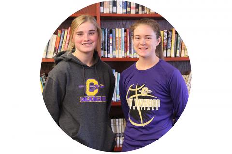 Article Image Alt Text