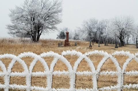 Article Image Alt Text