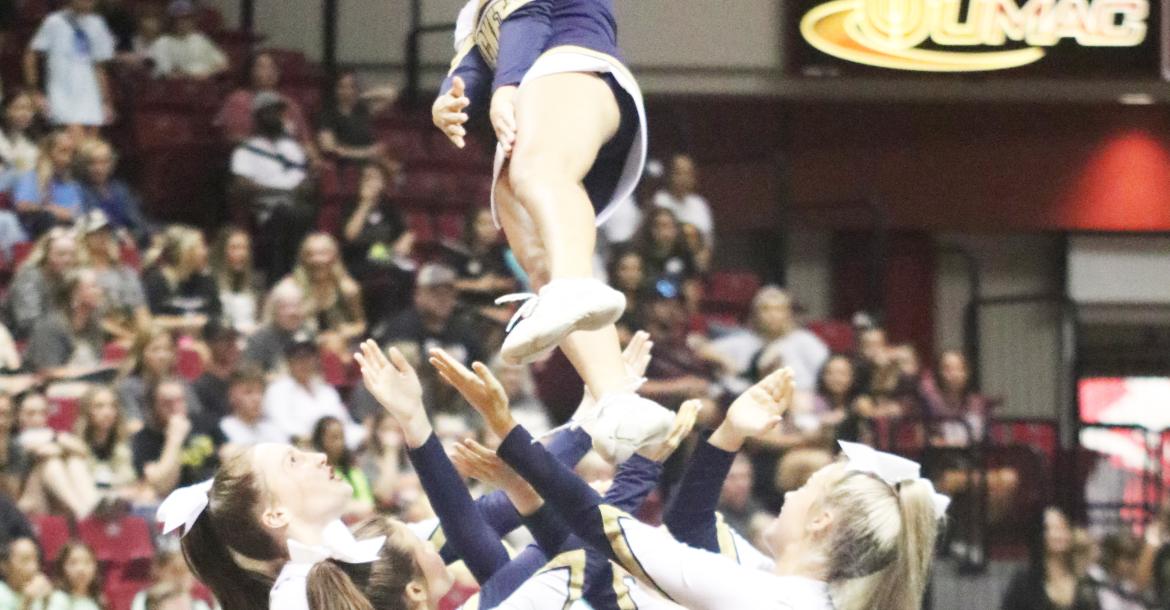 Article Image Alt Text