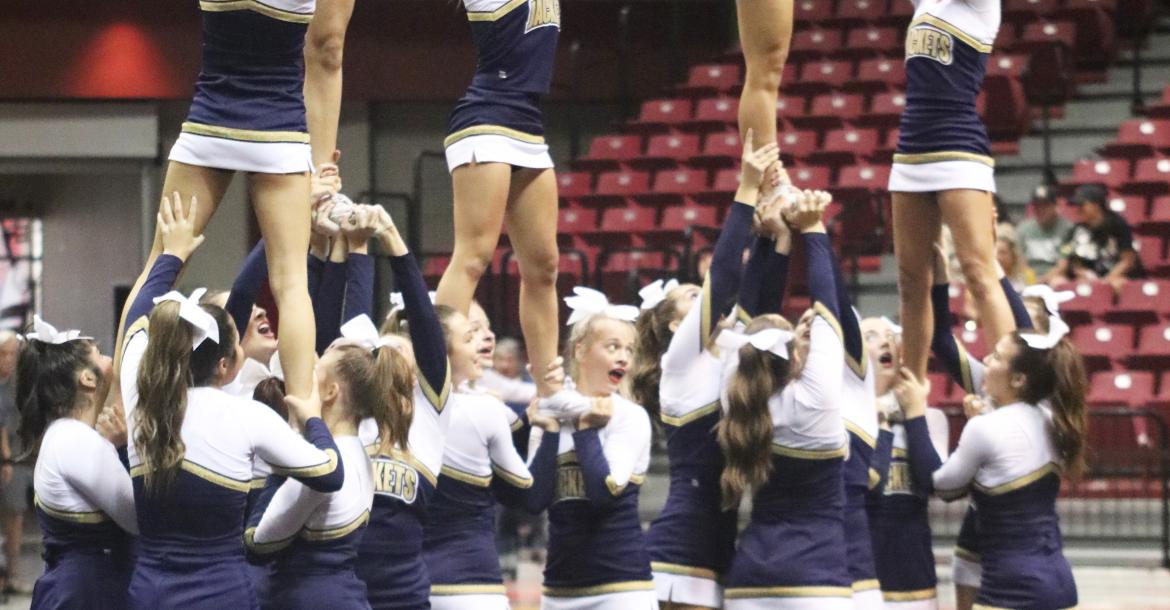 Article Image Alt Text