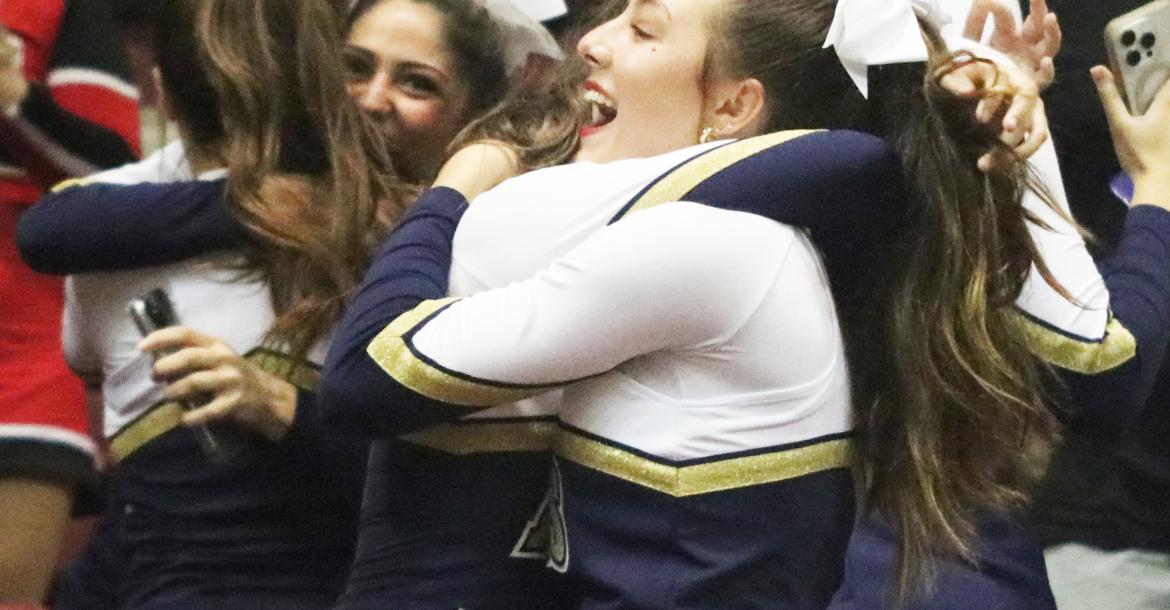 Article Image Alt Text