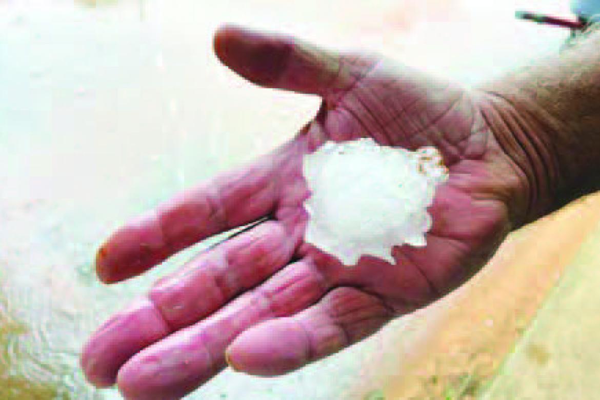 HANDS OF STONE – This hail stone fell northwest of Dover at the Rick and Robin Johnston residence. Several reports of similar size stones were reported Tuesday in the county. [KT&amp;FP Staff Photo]