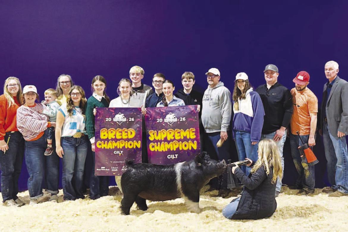 SUPREME CHAMP – The dark cross exhibited by Kingfisher FFA’s Ryan Scammahorn was named the supreme champion gilt Sunday at the prestigious Northwest District Junior Livestock Show in Enid. Pictured with the winning gilt - named “Wednesday” - are, 