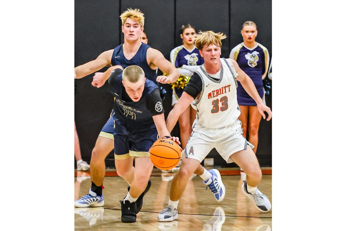 Article Image Alt Text