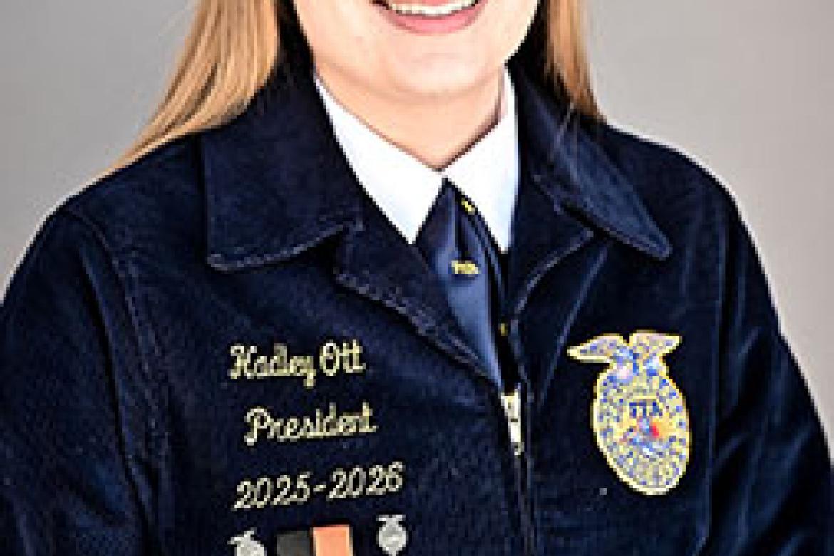 Article Image Alt Text