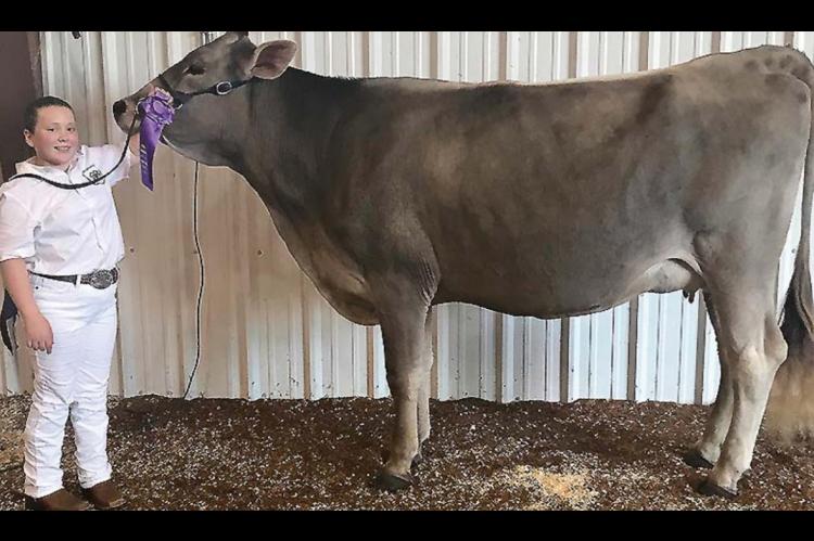 Junior Livestock Show Grand Champions