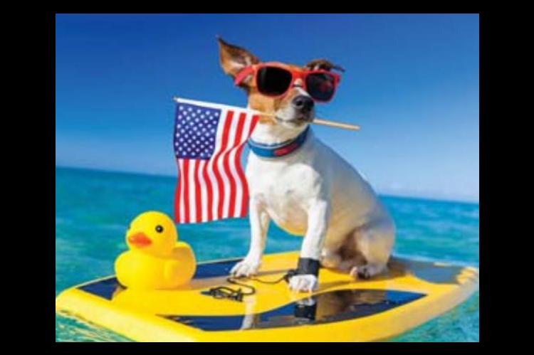 Annual duck race caps off   local 4th