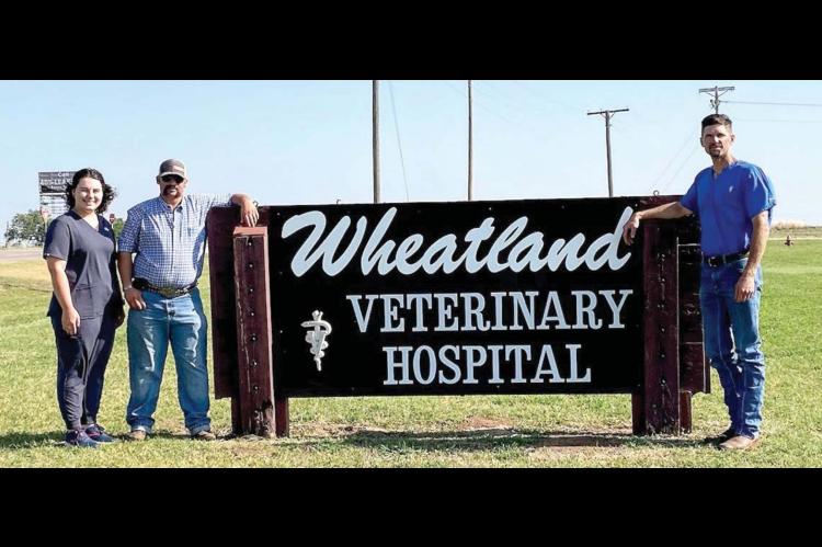 Dr. Matousek new face at Wheatland Vet