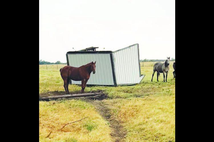 HIGH WINDS on Saturday did damage throughout Kingfisher County, including blowing over this horse shed just northwest of Kingfisher. [Photo provided]