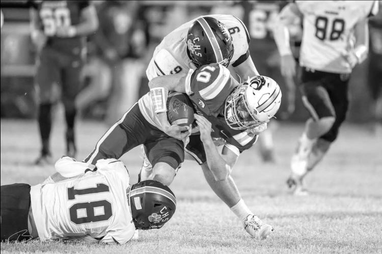 Woodland, meet woodshed
