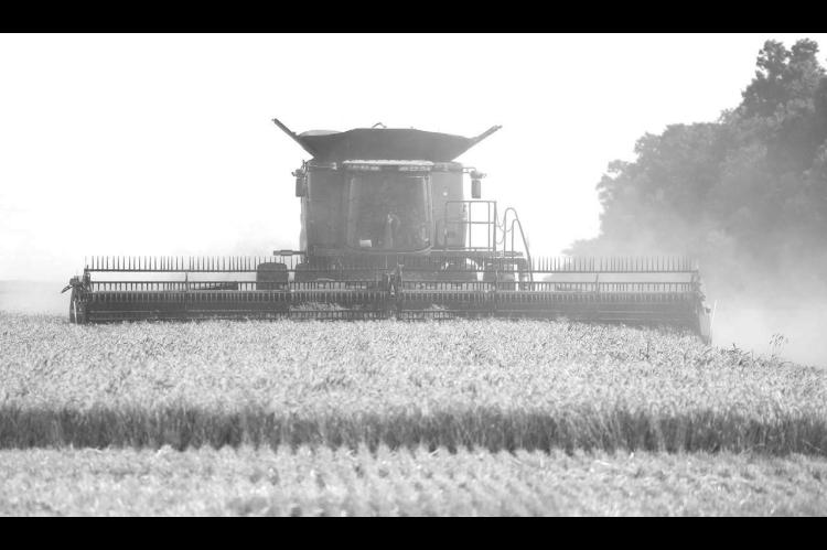DUST FILLED the sky when the Newers were harvesting a field west of Kingfisher just over a week ago. Now local crews are struggling to find ground dry enough to reconvene the 2025 harvest. [KT&amp;FP Staff Photo]