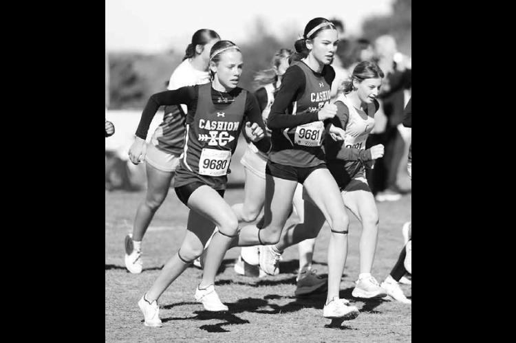 Cashion sending 3 runners to state meet