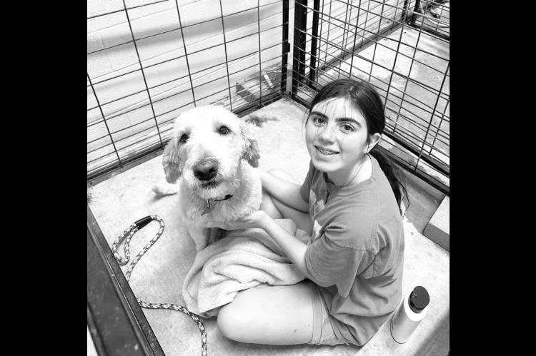CASHION FFA’S Mikaela Yandell works with a dog during a Wash and Walk grooming session at her chapter’s agriculture barn. [Photo provided by Molly Mayes/Cashion FFA Reporter]