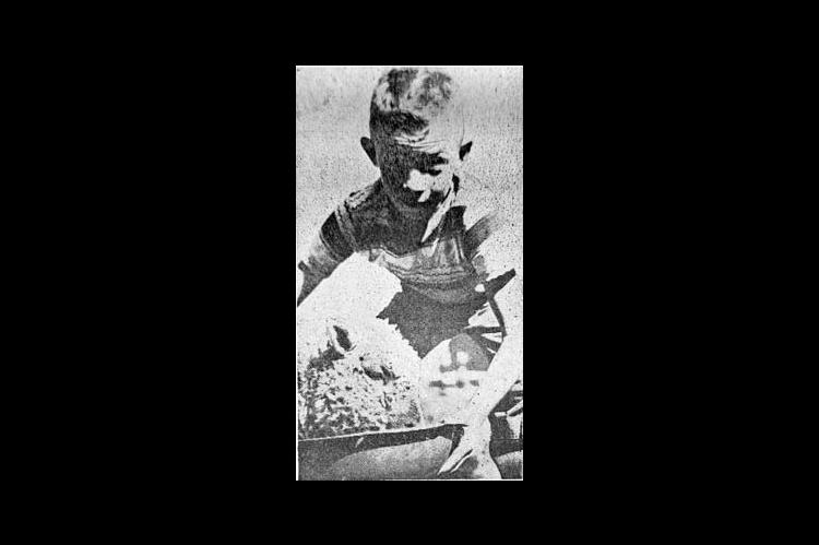 Kingfisher county Free Fair time is approaching. The annual event will be Aug. 28-31, at the fairgrounds and the armory. All over the county, farmers and farm youths are preparing for the fair. Max Petty, 10, of southwest of Kingfisher, is shown feeding his sheep. He will enter the fair if the sheep is fat enough. (Free Press, Aug. 20, 1951)