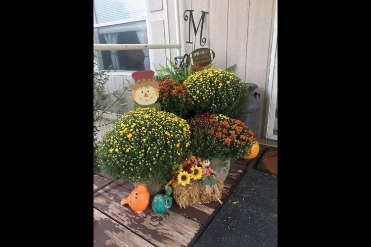 A Taste of Fall?