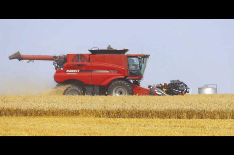 NEWER FARMS was busy early Monday evening trying to take advantage of the small window of a dry weather pattern. Travis Newer is pictured cutting in a field three miles west of Kingfisher. Producers were able to begin cutting as early as last weekend in s