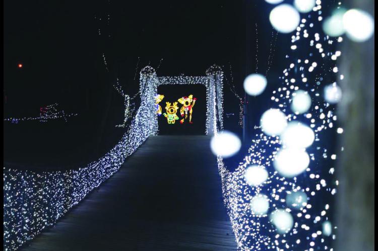 The Lights are on . . .