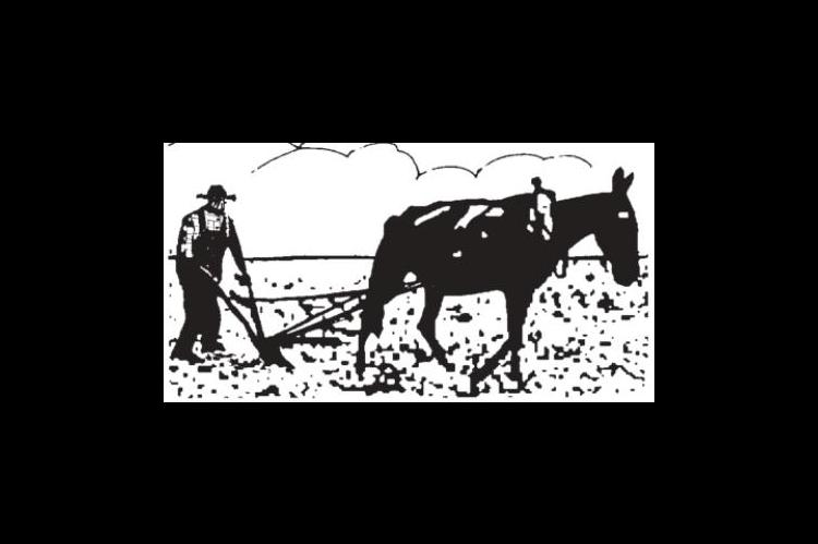 Critical Race Theory explained
