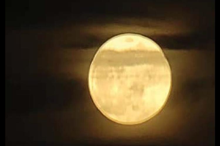 Goodnight, Moon