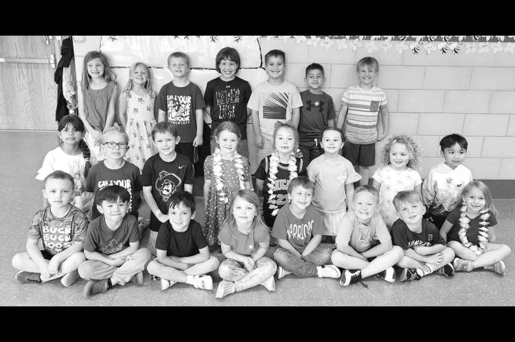 Good BEE-havin’ at Gilmour Elementary
