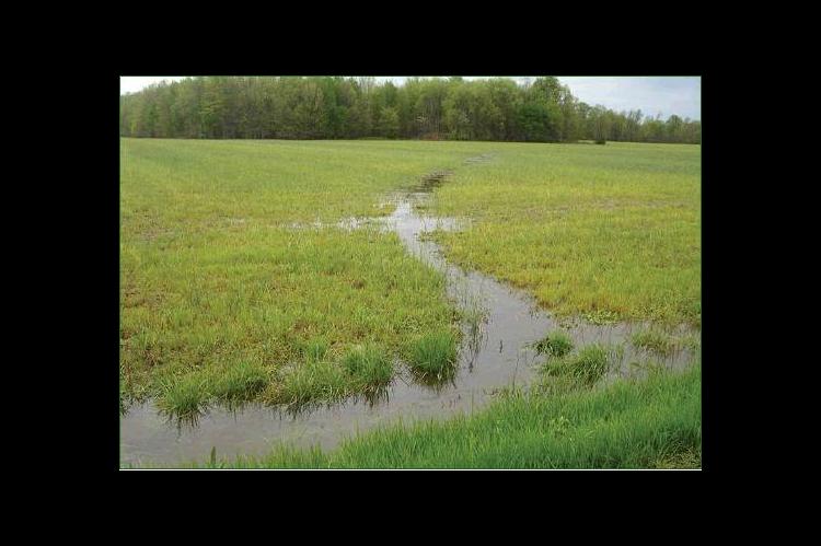 Ag orgs, others praise water rule