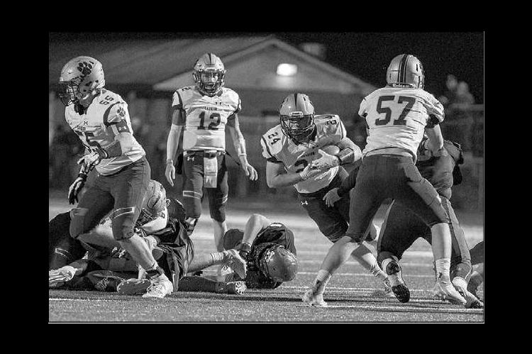 Black Bear ‘run’ stops with Cashion