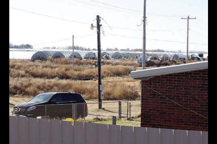 4 slain in grow house shooting