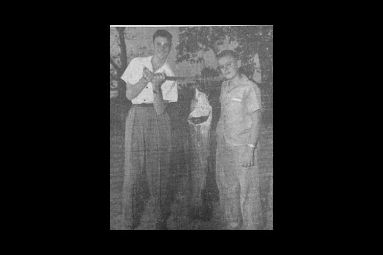 Local Boys Catch 31-Lb. Catfish, 1947