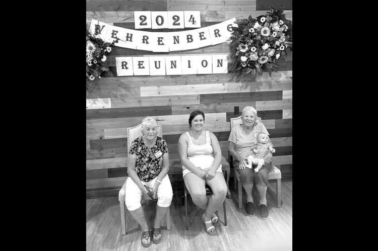 Wehrenbergs hold annual family reunion