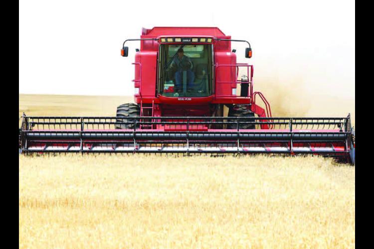 COMBINES were in the fields throughout southern portions of Kingfisher County early in the week, such as this one operated by Kenneth Karrenbrock west of Kingfisher on Monday afternoon. Early-morning showers on Tuesday put a temporary halt to the cutting that had begun. [KT&amp;FP Staff Photo]