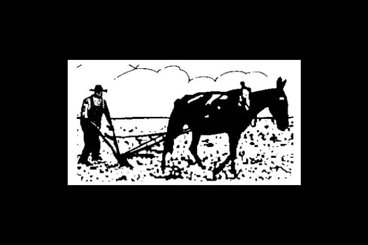 View From Behind The Plow