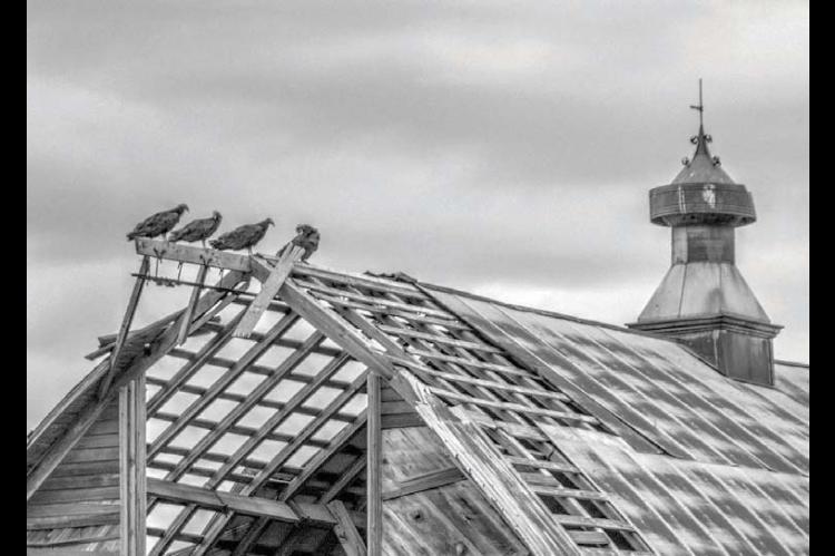 As seen through the lens of Michael Louthan